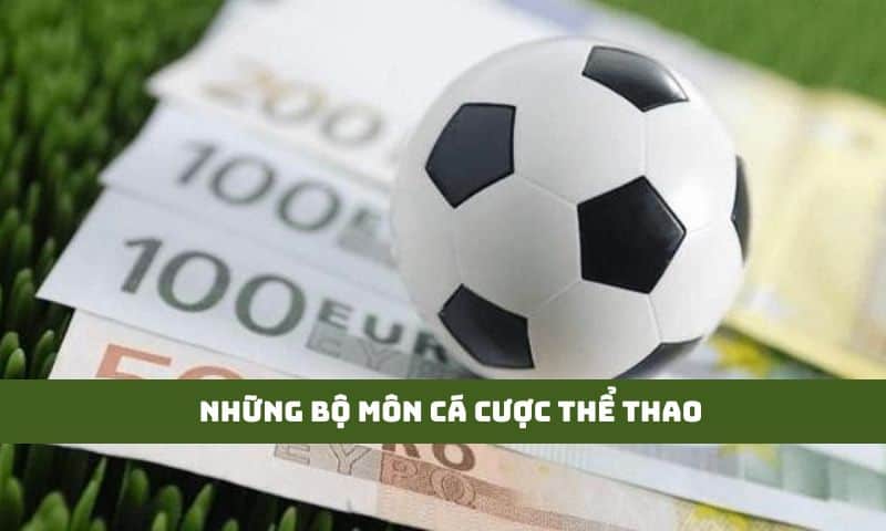 Tổng hợp những bộ môn Cá cược thể thao hấp dẫn